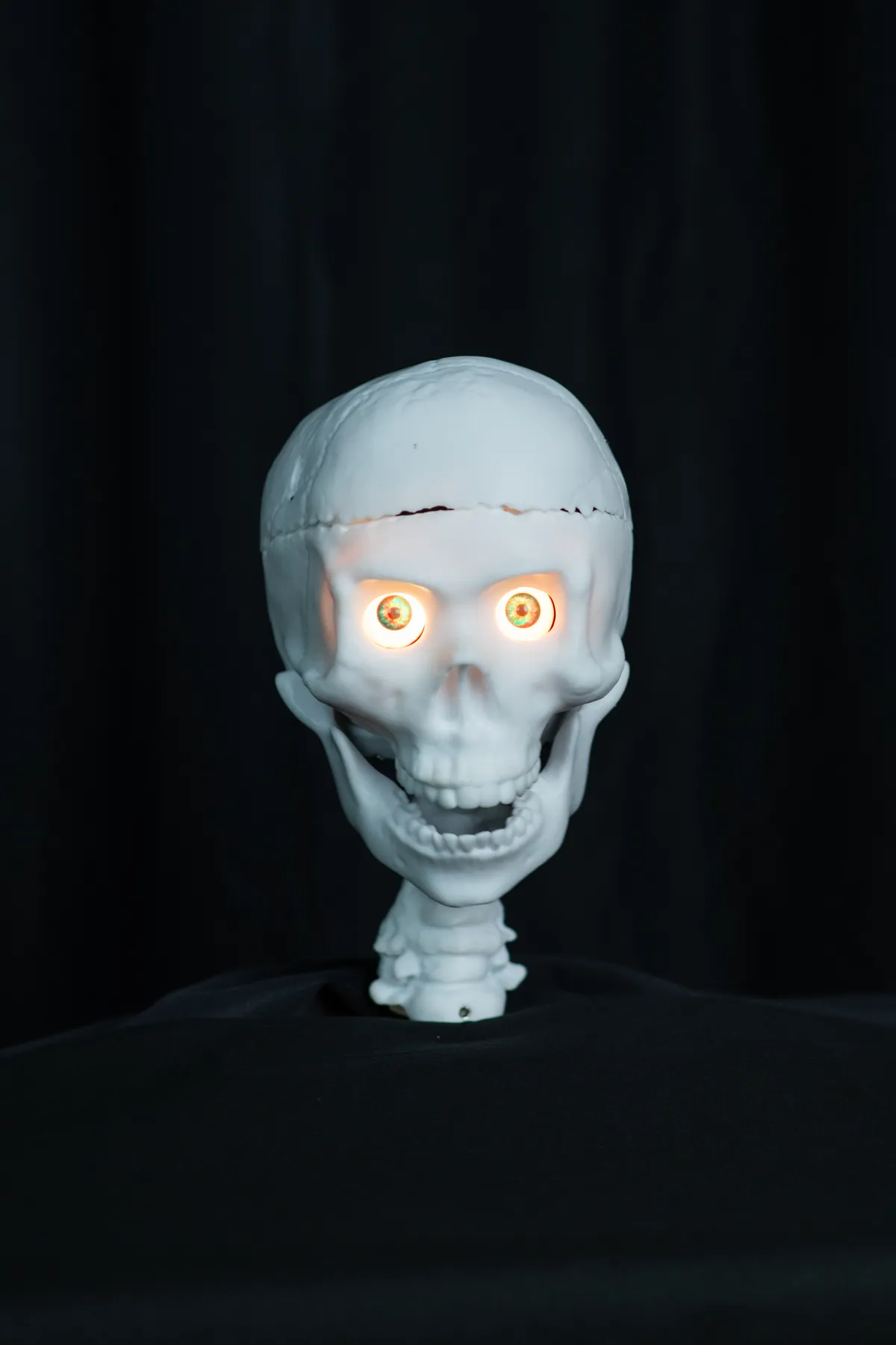 SkullTronix Skull Bare Bones