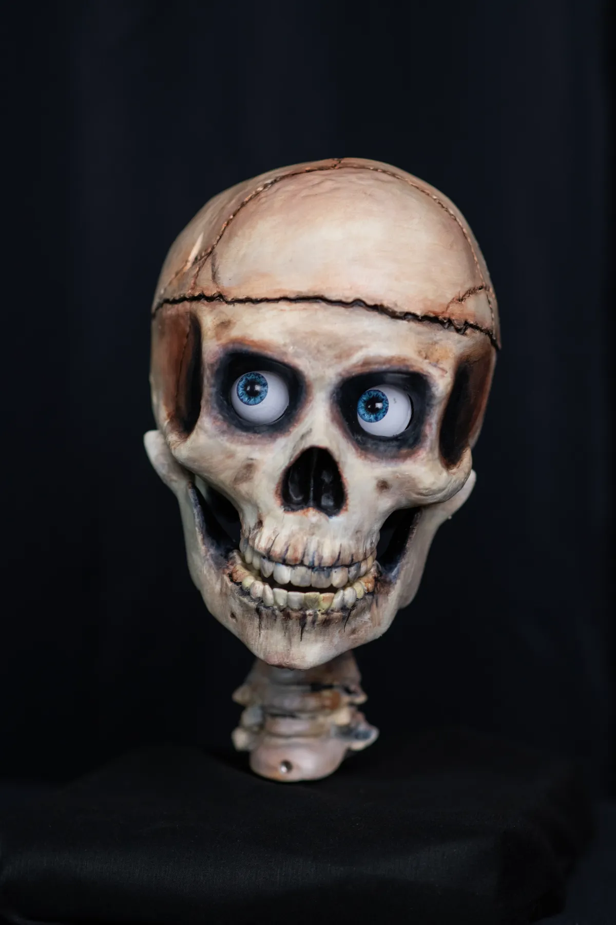 SkullTronix Skull Plus